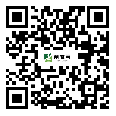 扫一扫关注我们